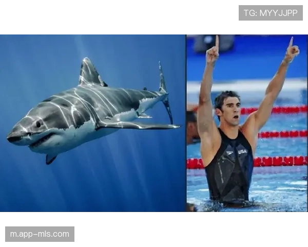 游泳装备科技战升级，某品牌发布仿鲨鱼皮4.0版本比赛泳衣